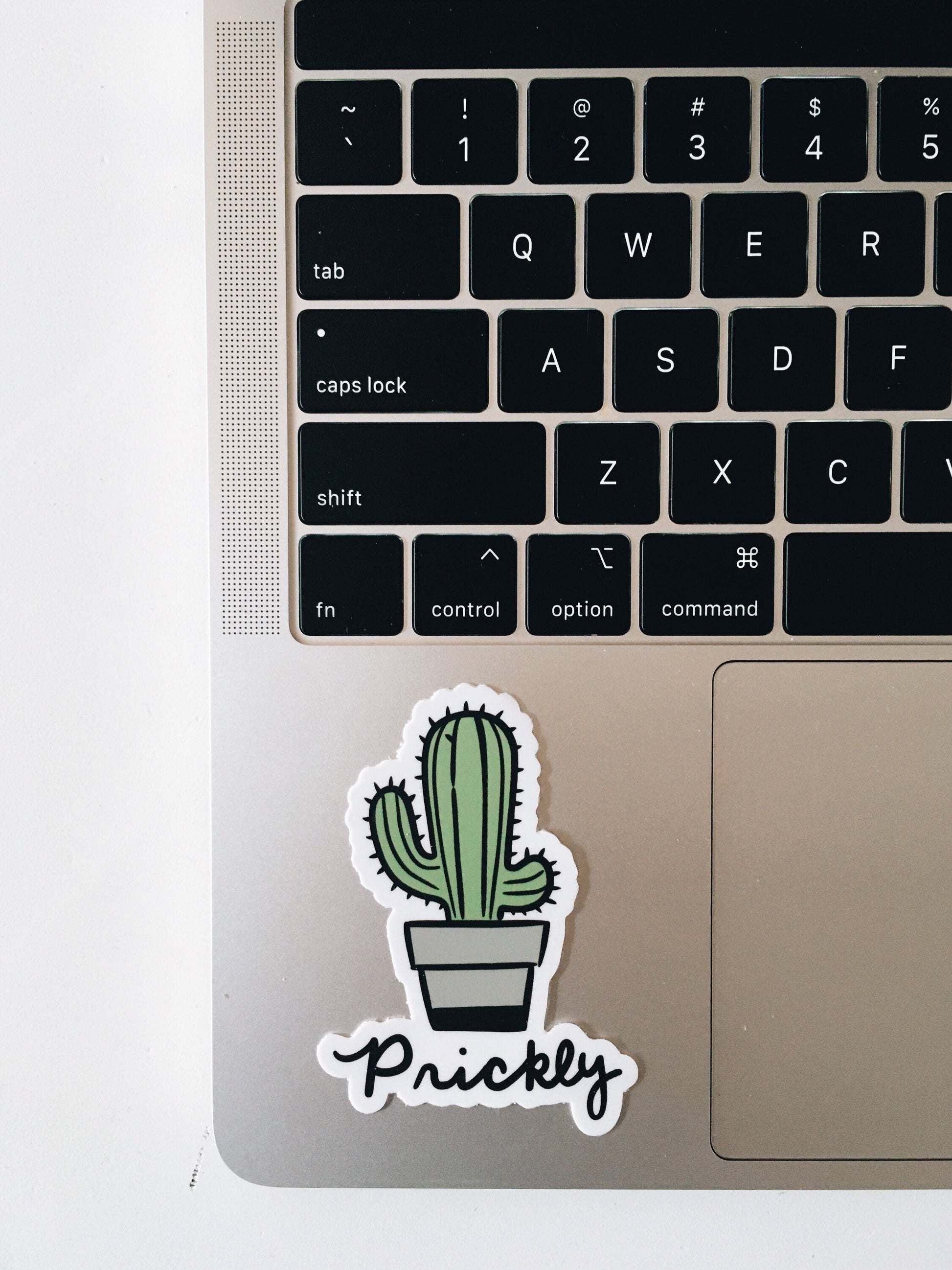 Funny Cactus Weatherproof, Durable Sticker | Vinyl Decal | Waterbottle, Laptop decal | Plant Lover Gift | Cactus Decal | Millennial Gift