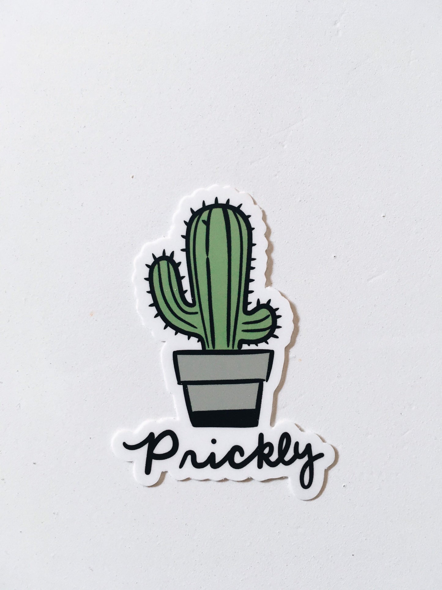 Funny Cactus Weatherproof, Durable Sticker | Vinyl Decal | Waterbottle, Laptop decal | Plant Lover Gift | Cactus Decal | Millennial Gift