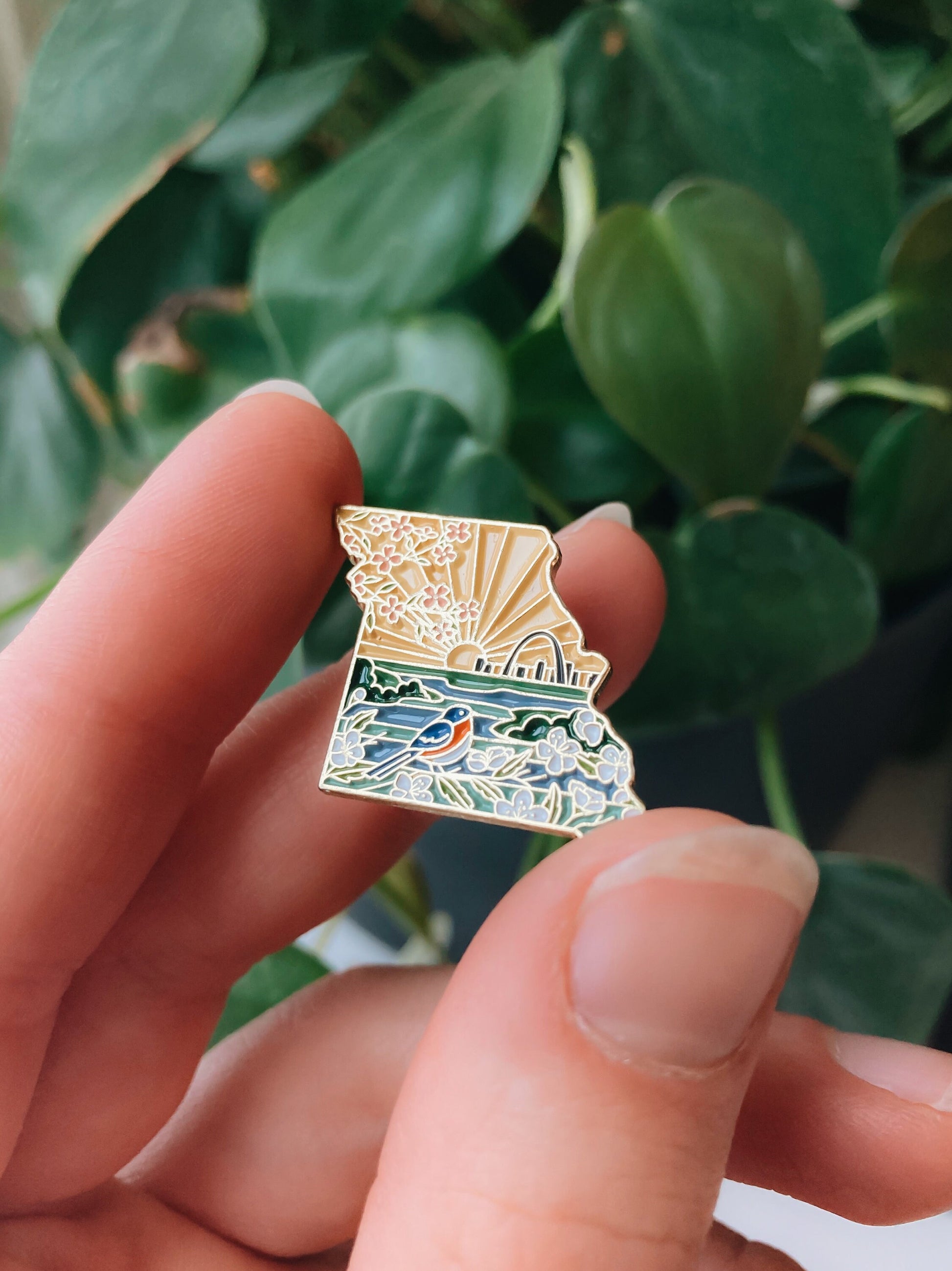 Missouri Enamel Pin | Gold Soft Enamel Pin | Illustrated United States Pin | Butterfly Clasp | 1.25"