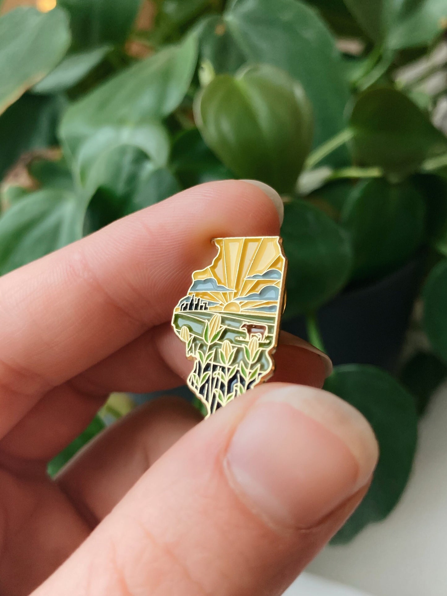 Illinois Enamel Pin | Gold Soft Enamel Pin | Illustrated United States Pin | Butterfly Clasp | 1.25"