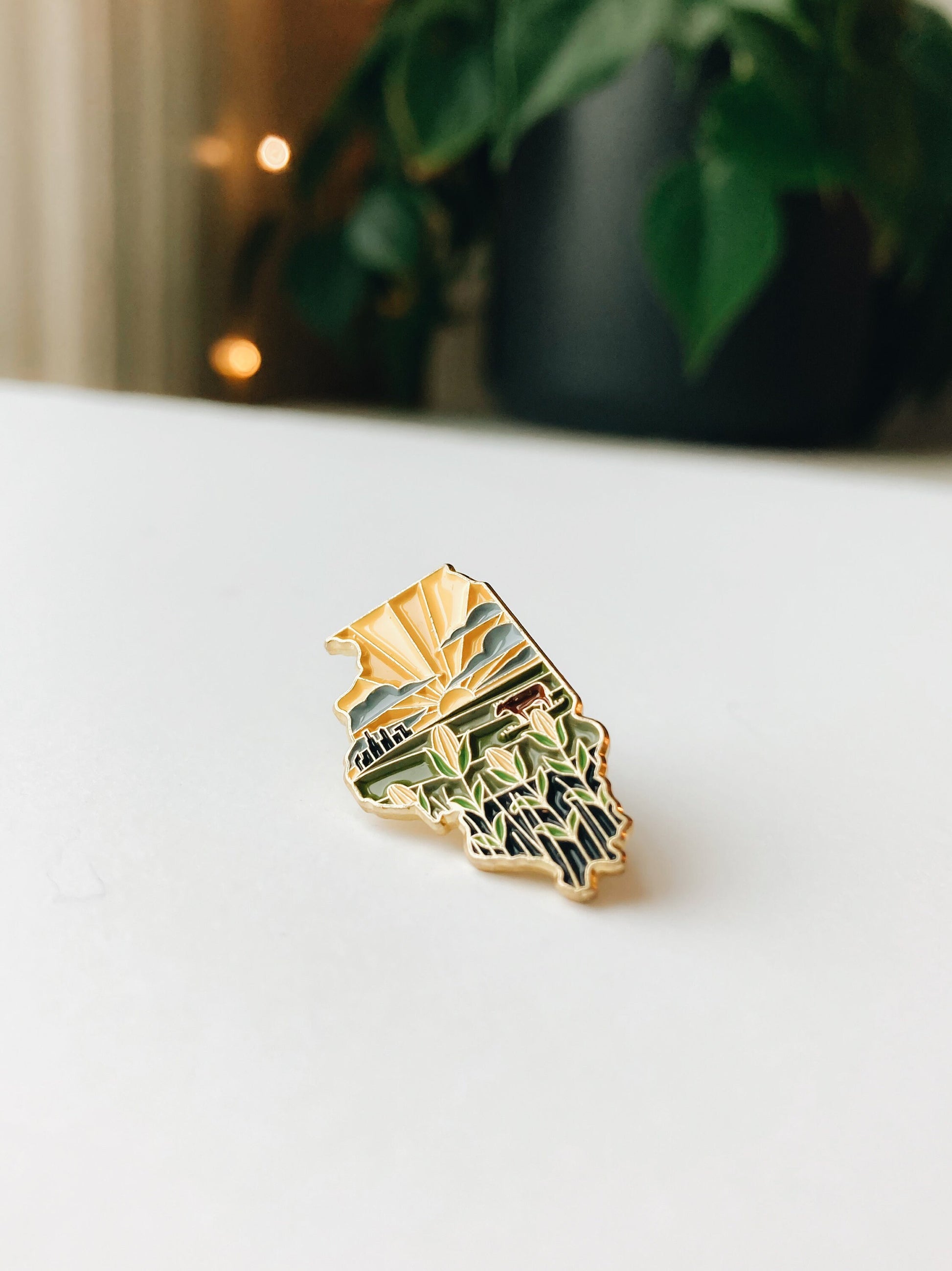 Illinois Enamel Pin | Gold Soft Enamel Pin | Illustrated United States Pin | Butterfly Clasp | 1.25"